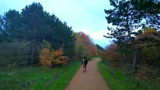 Fairlop Waters Country Park #FairlopWaters #djimini3pro #trending #fypシ #bangladesh