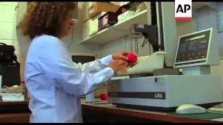 The science of the humble apple