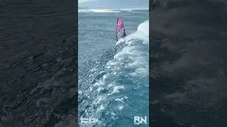 Windsurfing Lanes Kona Wind - DRONE SHORTS