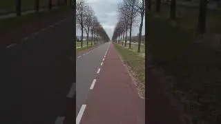 ВелоБаны города Лелистад, Нидерланды. 3 марта 2023 года.