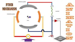Fourier Transform Ion Cyclotron Resonance | ANIMATION | FTICR