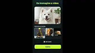 Un animale nascosto in una calza di Natale