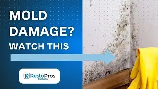 Southeast Atlanta Mold Removal Company | RestoPros of Southeast Atlanta