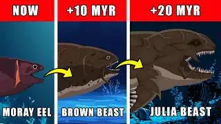 Julia Beast Origin Evolution: How Julia Beast Could Have Evolved