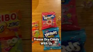 Freeze Dry Candy With Us! 🍭 #shorts #candy #freezedryer #freezedriedfood #crunchy