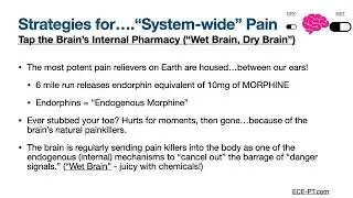 09- Strategies for Chronic Pain/Systemwide Pain - Part 1