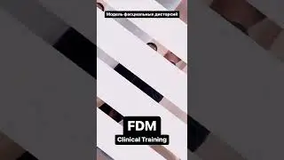 Fascial Distortion Model Clinical Training in Kazan, Tatarstan with FDM instructor Evgeny Haimov