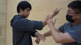形意拳基本慨念第五集 橫拳Xingyi Quan -Heng Quan basic idea [內家小哥的形意拳與八卦掌世界]