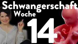 Die 14. SSW | Schwangerschaft  Woche 14 - Schwangerschaftsführer