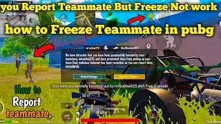 How To report teammate in bgmi || bgmi teammate killed me report || How to Report Teammate in Pubg