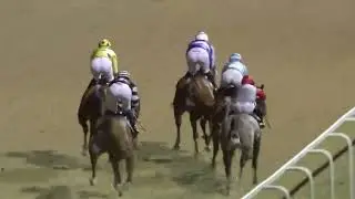 ( SERGEANT WILKO)6 Race Newcastle 23 Mar 2024