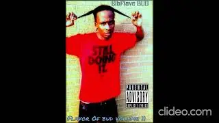 ElbFlave Bud - Say you smoke weed