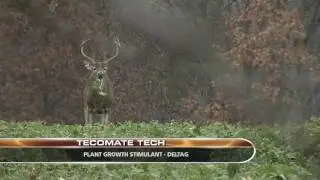 Food Plots - The 5 Most Common Planting Mistakes - Extended Version