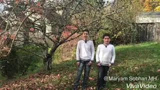 Gender reveal 2017