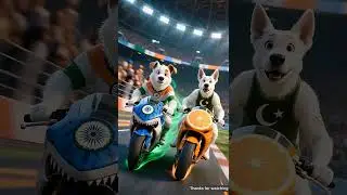 Indian Dog vs Pakistani Dog #ai #aivideo #aishorts #hindishorts #hindistories #fafaboi