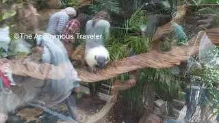 @TheAnonymousTraveller  The Dallas World Aquarium
