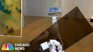 &lsquo;Earthly Visions: Inside the Climate Crisis' exhibition opens at UIC