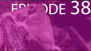 Episode 38 - Behavioral Ecology