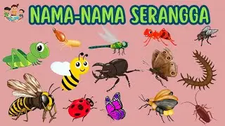 Belajar Mengenal Nama-Nama Serangga - Video Edukasi Anak || Dunia Anak Cerdas