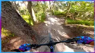 Clunk, bang, walk of shame  - Alafia River State Park MTB