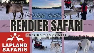 RENDIER SAFARI in LAPLAND/FINLAND. Op avontuur in LEVI. Mijn TIPS en MEER!