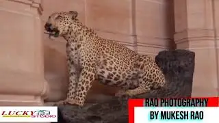 Rajasthan torism  and ||maati banjay bavare songh||
