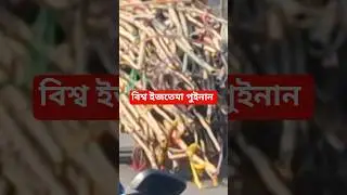 ijtema#nature#minivlog#india #vlog#biswa#puinan#@mahasin ayurbedic plants#trending#shorts#nature