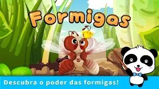 Vida de Formiga - V&iacute;deo Educativo Infantil - app Jogo para Crian&ccedil;as