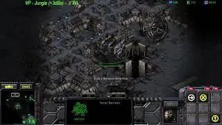 aVilo vs cauliflower game 12, probably last one