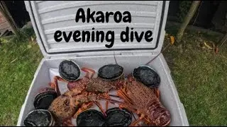 Akaroa evening fish and dive