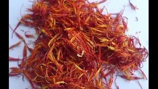 Saffron Dryer