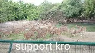 Lucknow Zoo Timing and ticket price