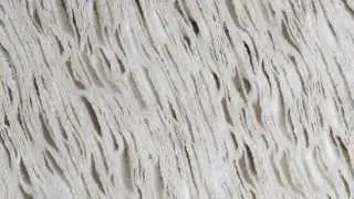Macro Quiz - #002