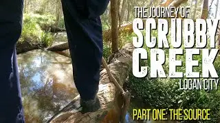 The Journey of Scrubby Creek, Logan City: Part 1 The Source
