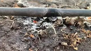 Humic acid drip irrigation video