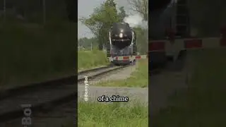 Все о паровых свистках