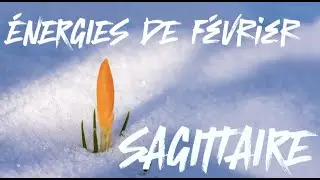 Tu prends ta place 🤝 SAGITTAIRE ♐Février 2026 🐦‍🔥
