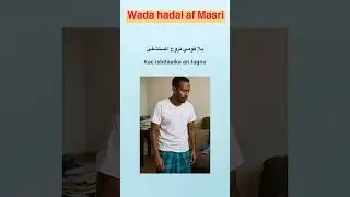 Maxaa ku dhacay Bashir xaaskis? #Shorts #ISNINO #Baro_Masri #Luqada_Masri