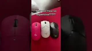 Gaming Mice EXPOSED (too expensive)