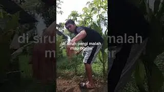 #anjing nya ga bersahabat ah #comedy #video #youtube #short #monetisasi