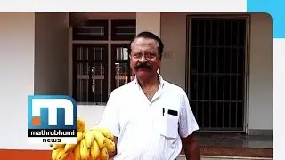 Alphonse Puthren's Father Catches Robbers Who Stole Bananas   | Mathrubhumi News