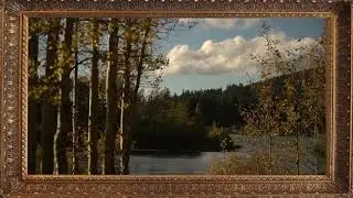 AMBIENCE-Spooner Lake late fall