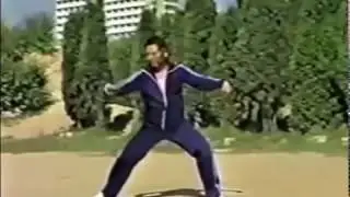 Zhang Maozhen, famous Chen Zhaokui student Er Lu 陈氏太极拳
