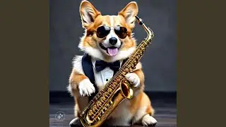 Corgi Stroll