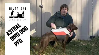 Best Dog Lifejacket: Review Astral Bird Dog Vest