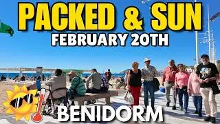 Benidorm - Crowded Levante Beach & Full Bars! 😲🏖️┃SUNBATHING in February?!