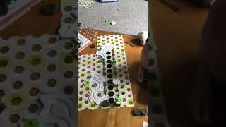 Marblympics Series 1 Round 1