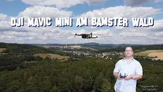 DJI Mavic Mini &uuml;ber dem Bamster Wald in Uchtelfangen - Schaumbergblick