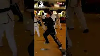 Part one of the 3rd Section of the Tai Chi Yang Style 108 move routine with names.