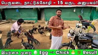 15 வருட அனுபவம் 🐔 | Egg → Chick 💯 | Peruvedai நாட்டுக்கோழி வளர்ப்பு பகுதி-1 